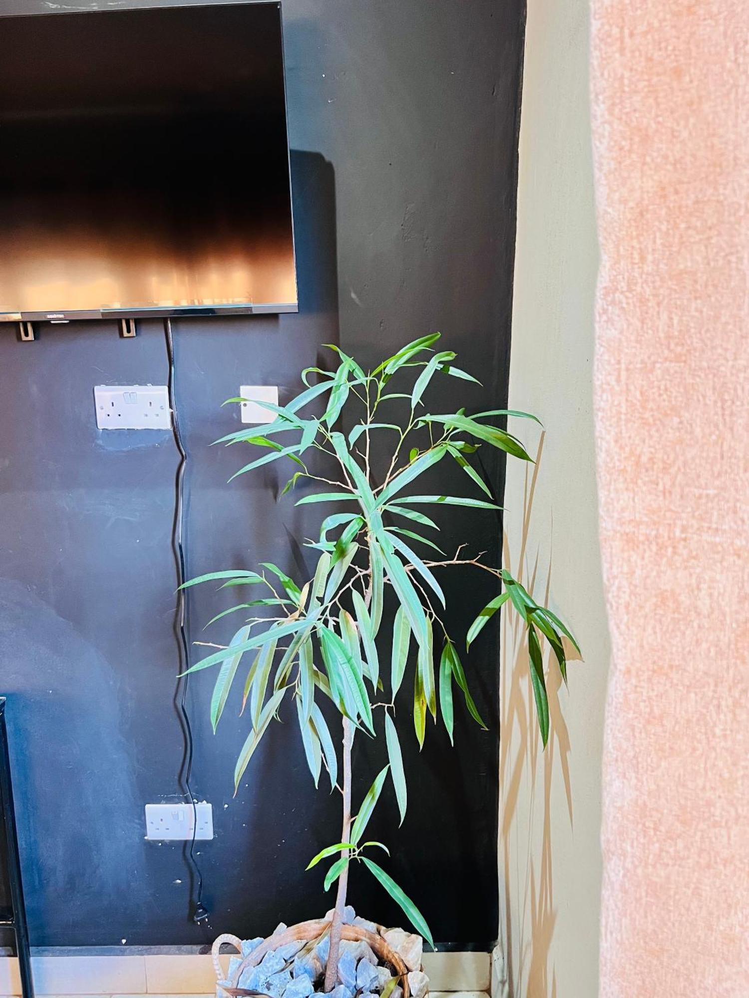 The Shed Venue & Boutique Hotel Лилонгве Экстерьер фото
